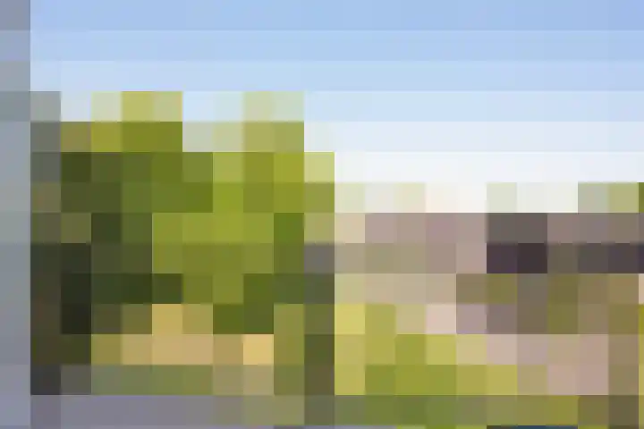 Rijnlaan 139 Heemstede thumbnail 23