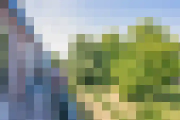Rijnlaan 139 Heemstede thumbnail 24