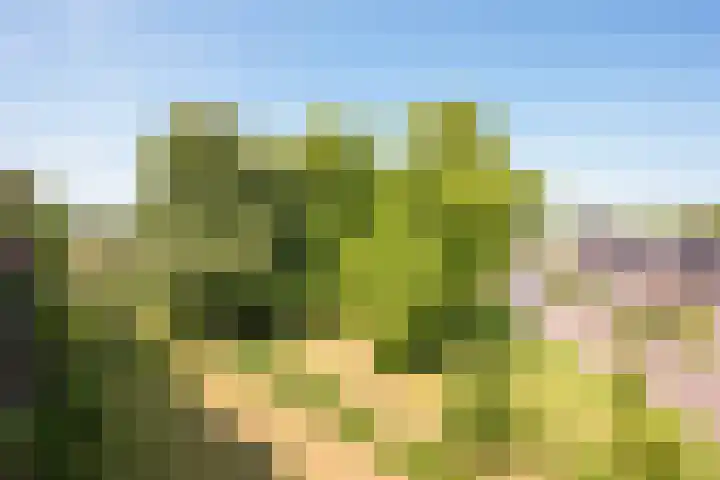 Rijnlaan 139 Heemstede thumbnail 25