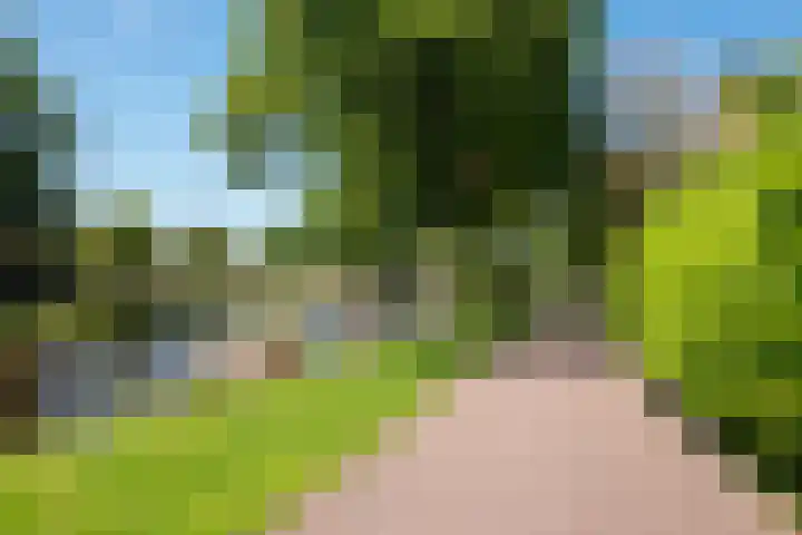 Rijnlaan 139 Heemstede thumbnail 32