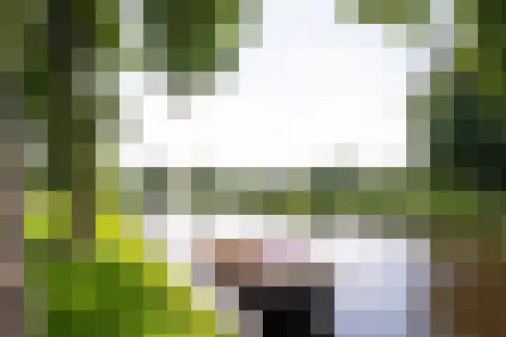 Rijnlaan 139 Heemstede thumbnail 33