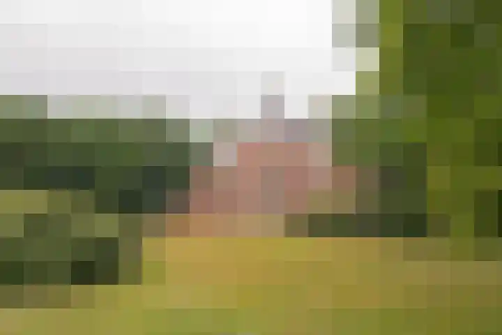 Rijnlaan 139 Heemstede thumbnail 39