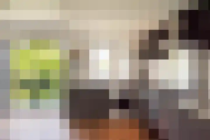 Rijnlaan 139 Heemstede thumbnail 4