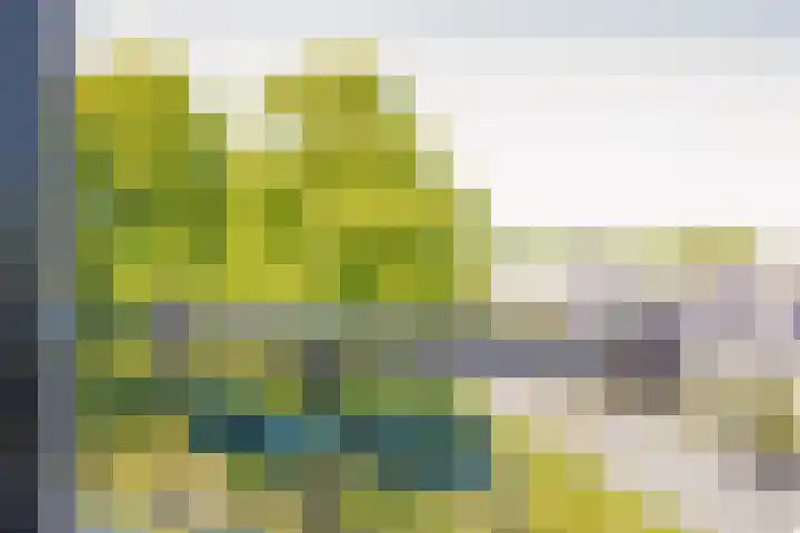 Rijnlaan 139 Heemstede thumbnail 5