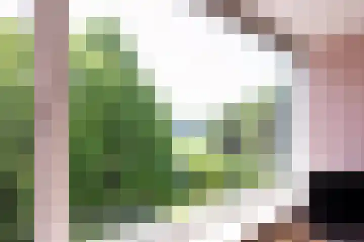 Rijnlaan 139 Heemstede thumbnail 9