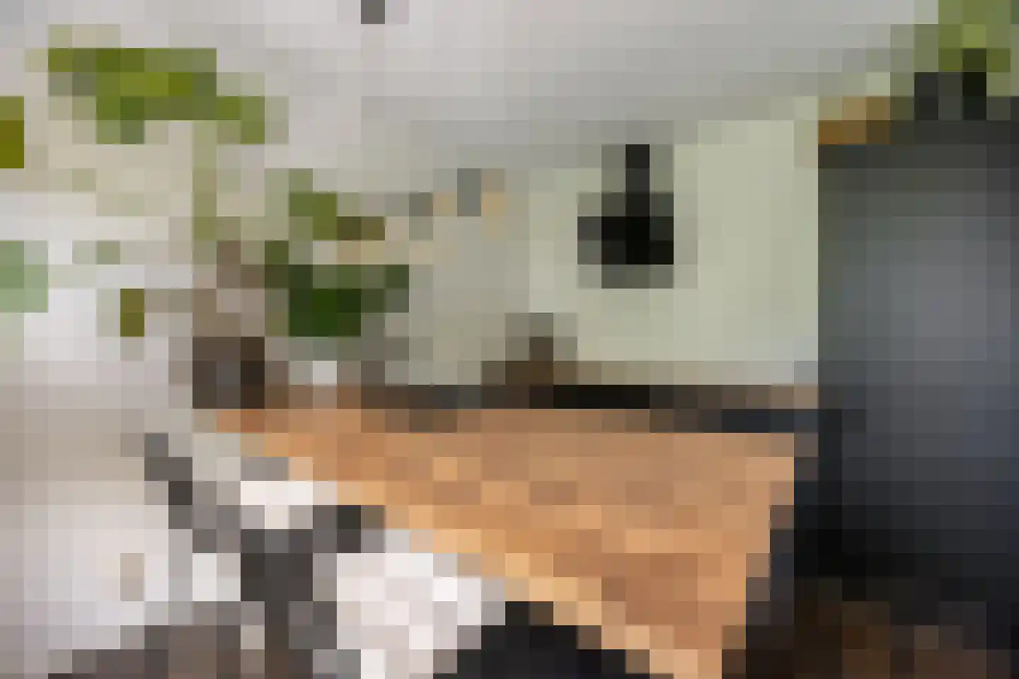 Rijnlaan 143 Heemstede thumbnail 10