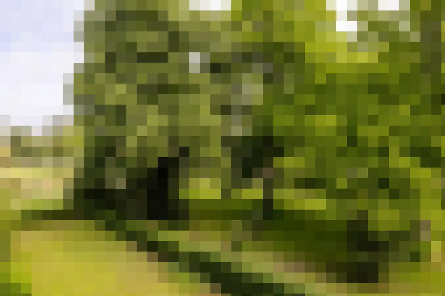 Rijnlaan 143 Heemstede thumbnail 15
