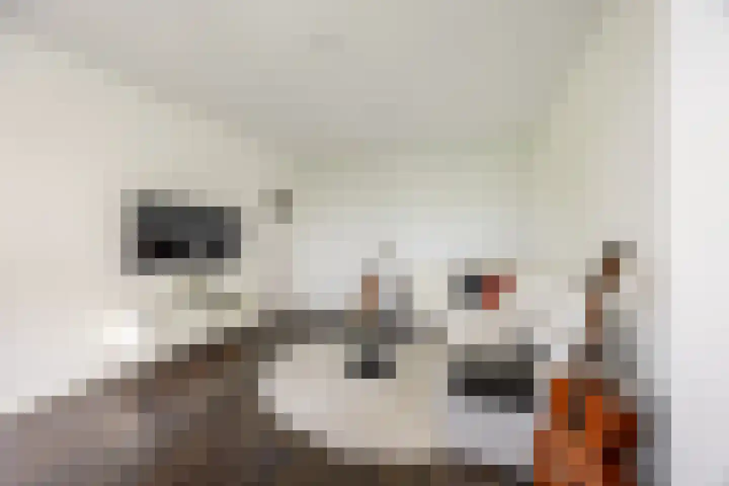 Rijnlaan 143 Heemstede thumbnail 7