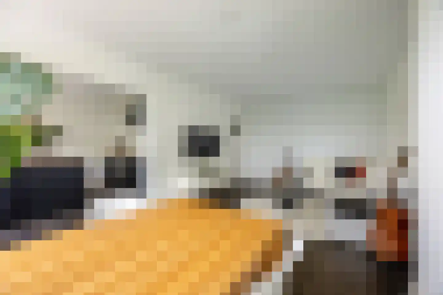 Rijnlaan 143 Heemstede thumbnail 8