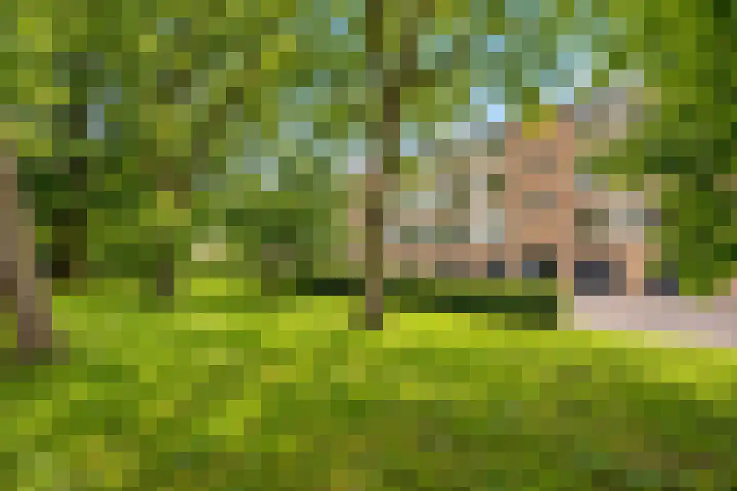 Rijnlaan 163 Heemstede thumbnail 29