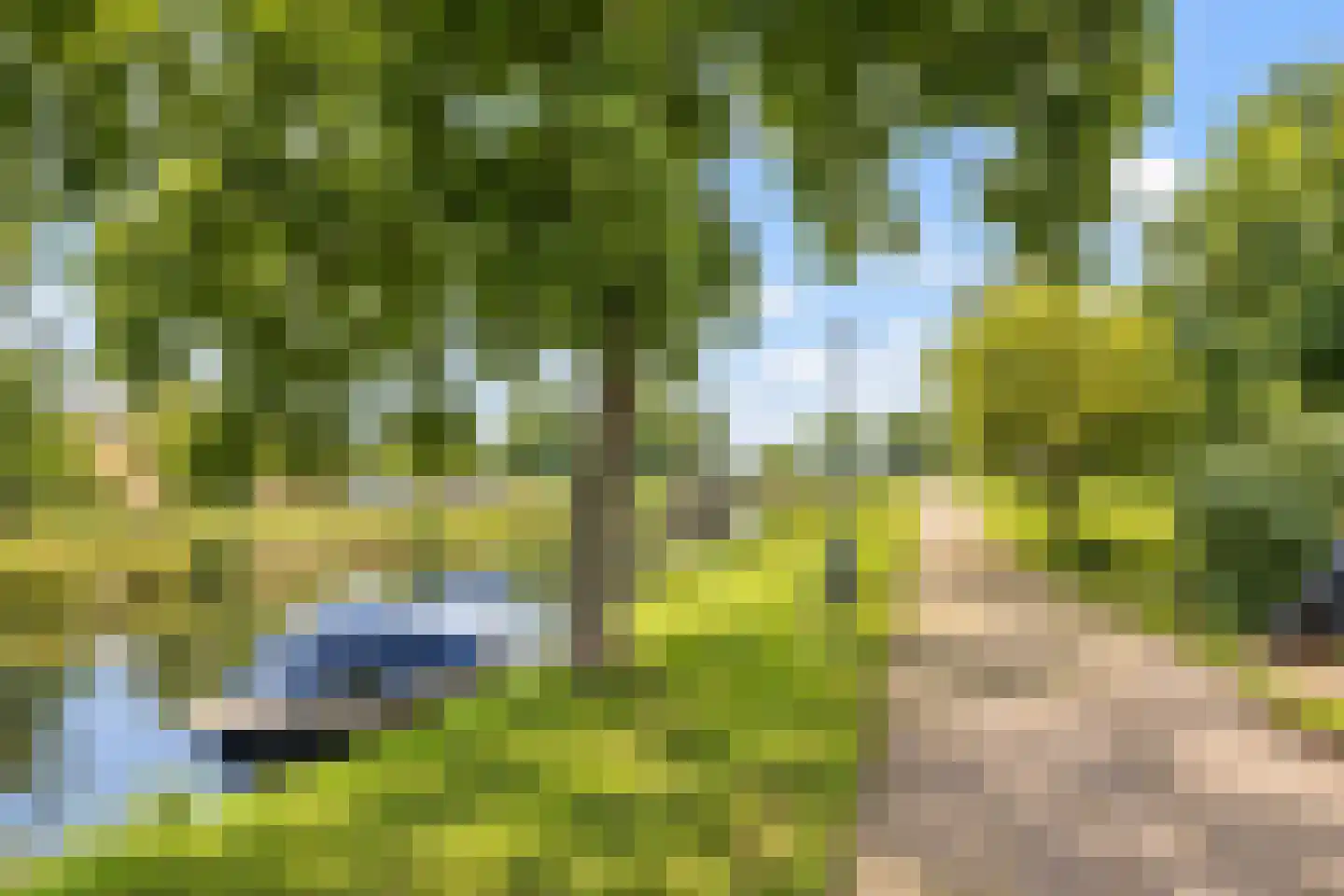 Rijnlaan 163 Heemstede thumbnail 30