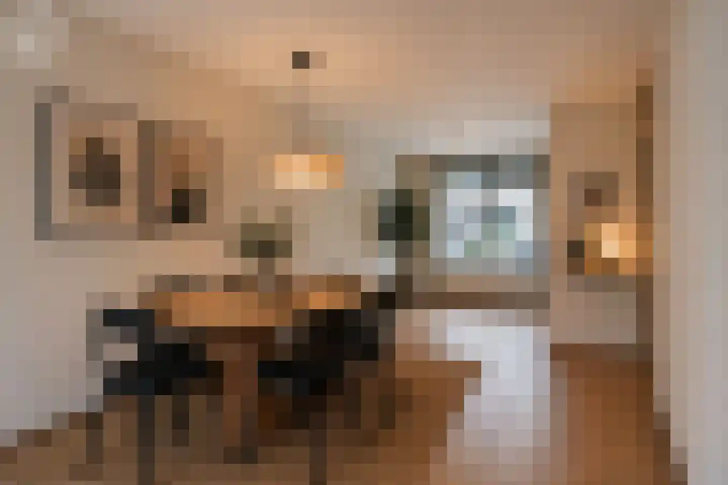 Rijnlaan 165 Helmond thumbnail 11