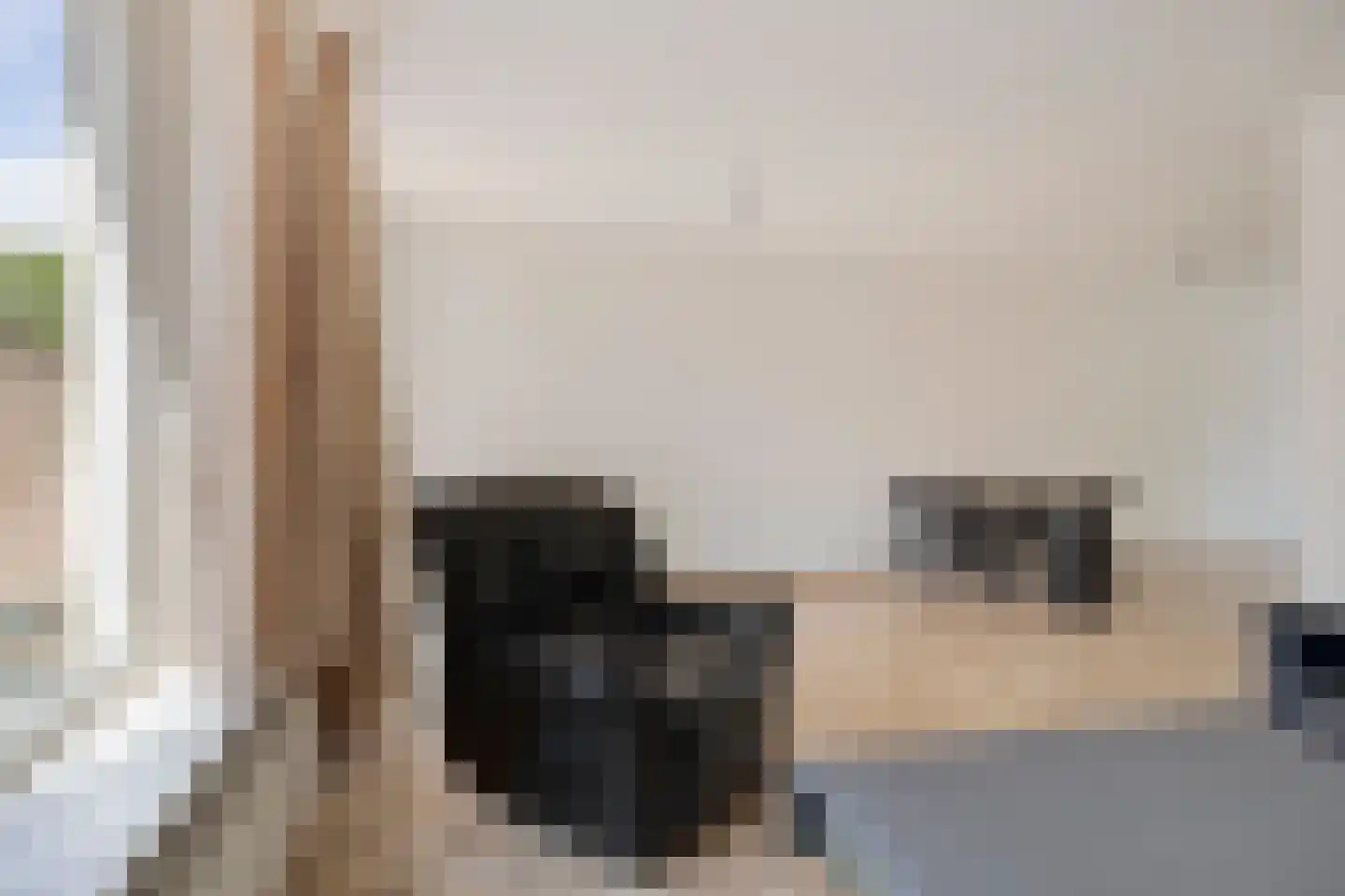 Rijnlaan 165 Helmond thumbnail 15