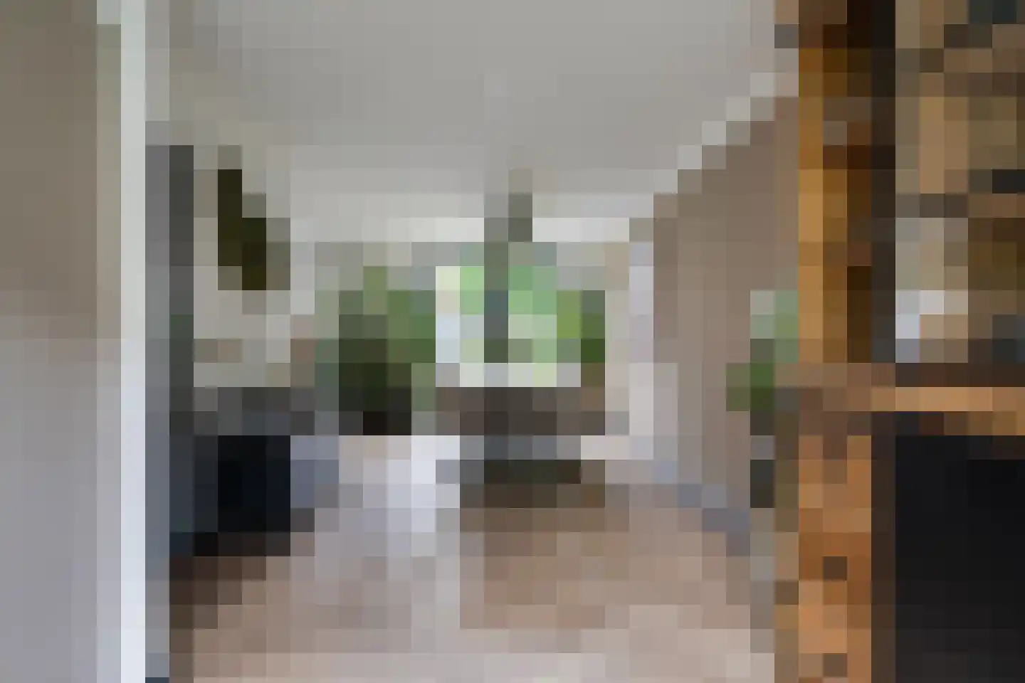 Rijnlaan 169 Helmond thumbnail 10