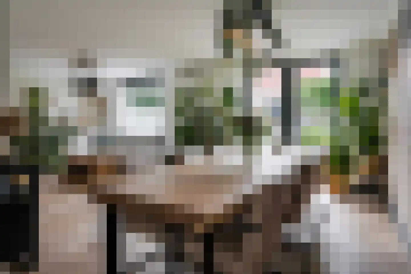 Rijnlaan 169 Helmond thumbnail 11