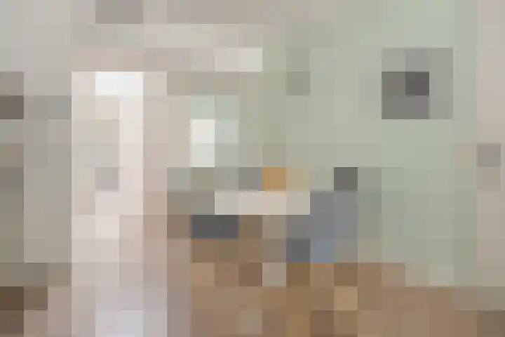 Rijnlaan 170 Utrecht thumbnail 10