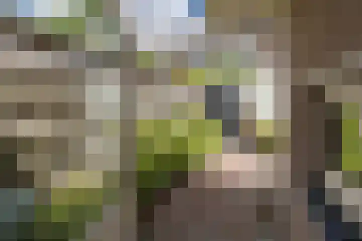 Rijnlaan 170 Utrecht thumbnail 17