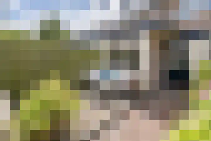 Rijnlaan 170 Utrecht thumbnail 18