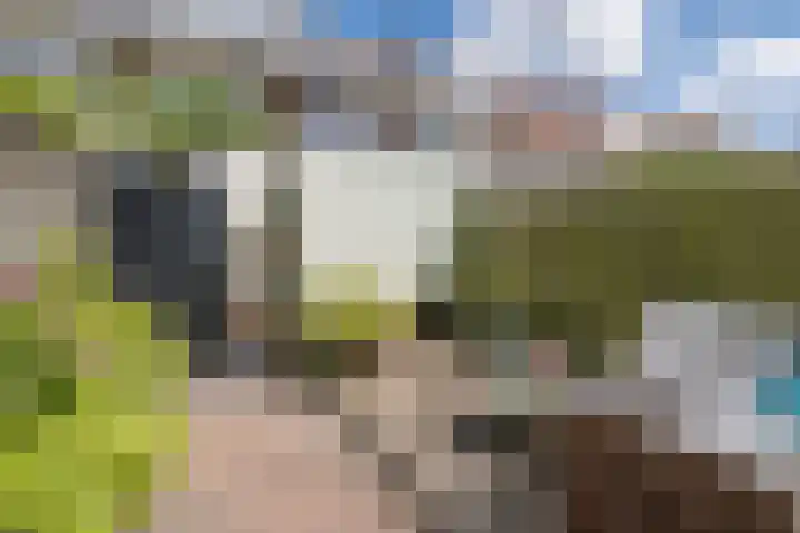 Rijnlaan 170 Utrecht thumbnail 19