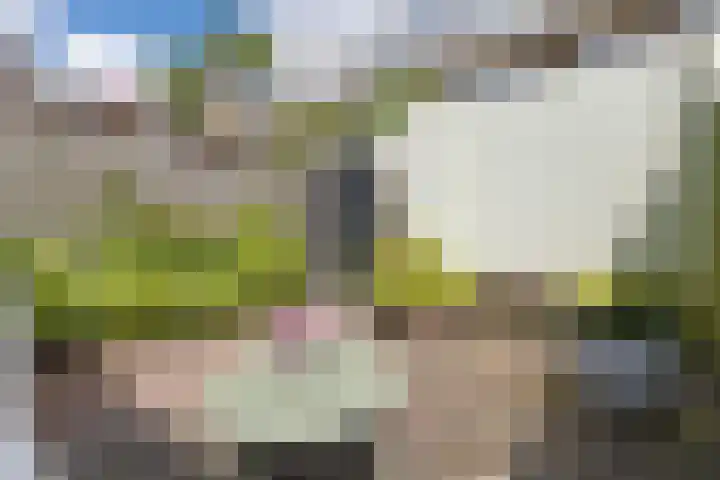 Rijnlaan 170 Utrecht thumbnail 20