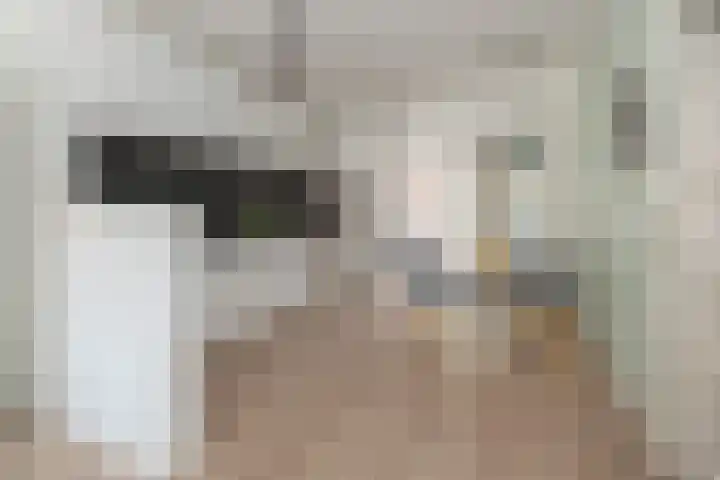 Rijnlaan 170 Utrecht thumbnail 6