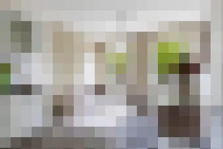 Rijnlaan 175 A Utrecht thumbnail 5