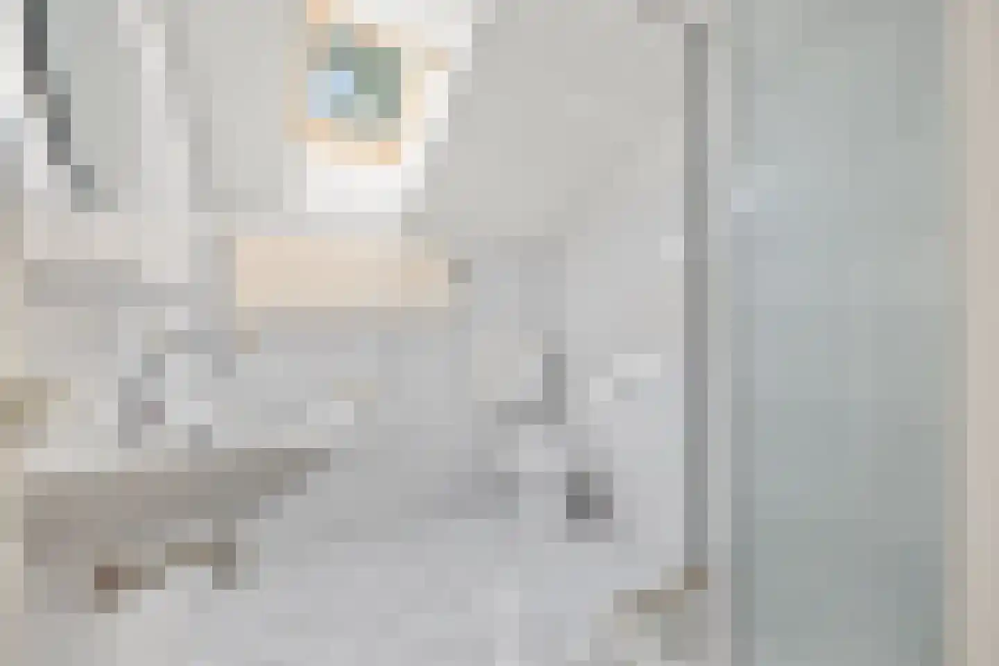 Rijnlaan 204 Zwolle thumbnail 16