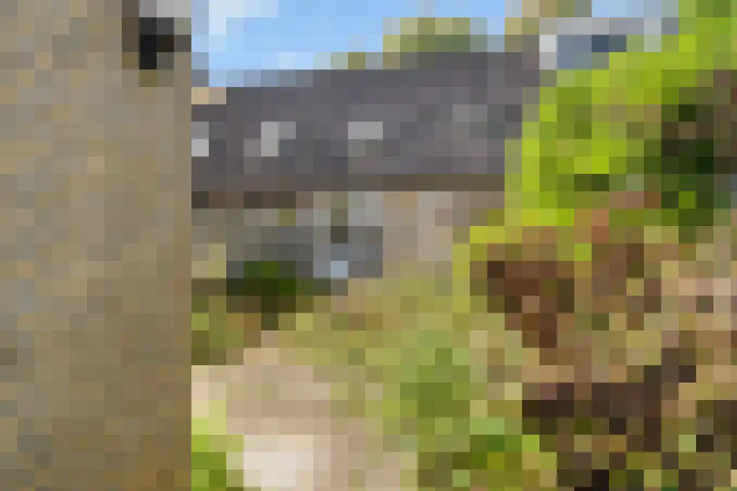 Rijnlaan 204 Zwolle thumbnail 20