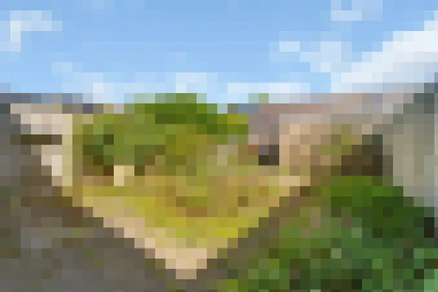 Rijnlaan 204 Zwolle thumbnail 21