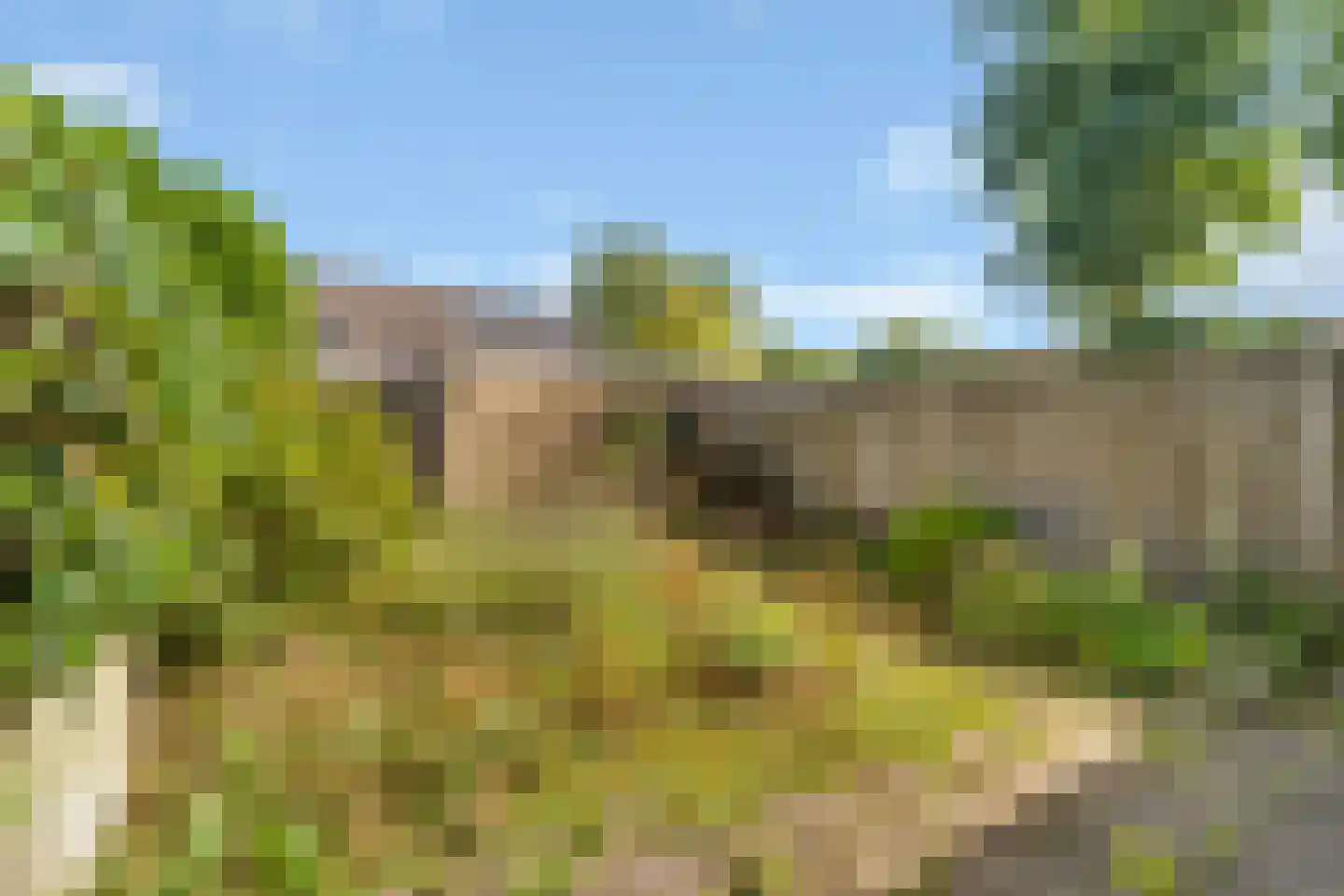 Rijnlaan 204 Zwolle thumbnail 22