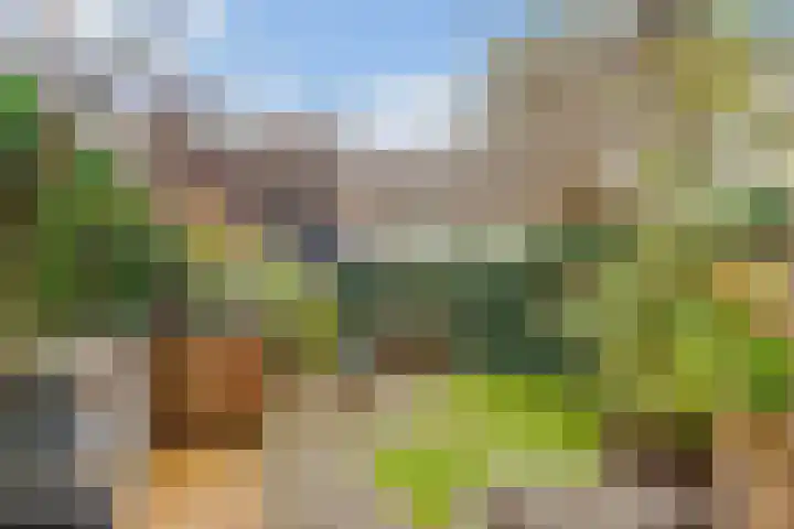 Rijnlaan 205 Utrecht thumbnail 15