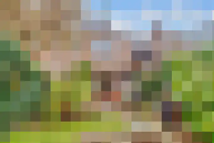 Rijnlaan 205 Utrecht thumbnail 16