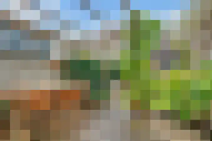 Rijnlaan 205 Utrecht thumbnail 18