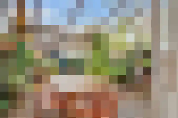 Rijnlaan 205 Utrecht thumbnail 19
