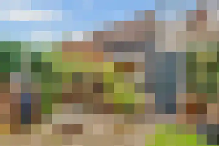 Rijnlaan 205 Utrecht thumbnail 22