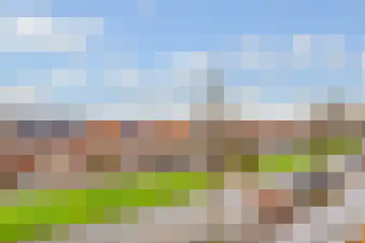 Rijnlaan 205 Utrecht thumbnail 30