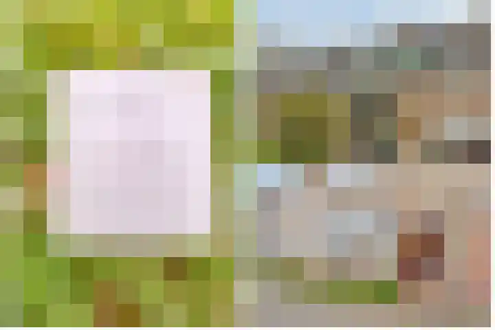 Rijnlaan 205 Utrecht thumbnail 37
