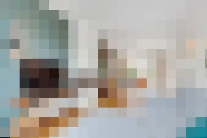 Rijnlaan 205 Utrecht thumbnail 9
