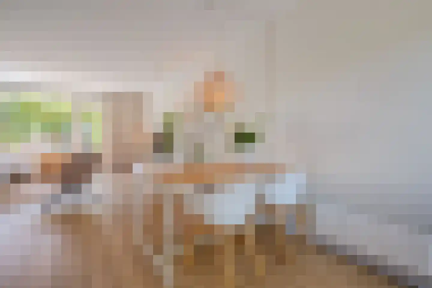 Rijnlaan 216 Zwolle thumbnail 10