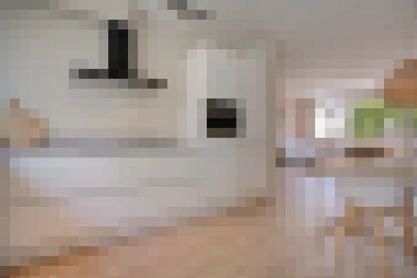 Rijnlaan 216 Zwolle thumbnail 13