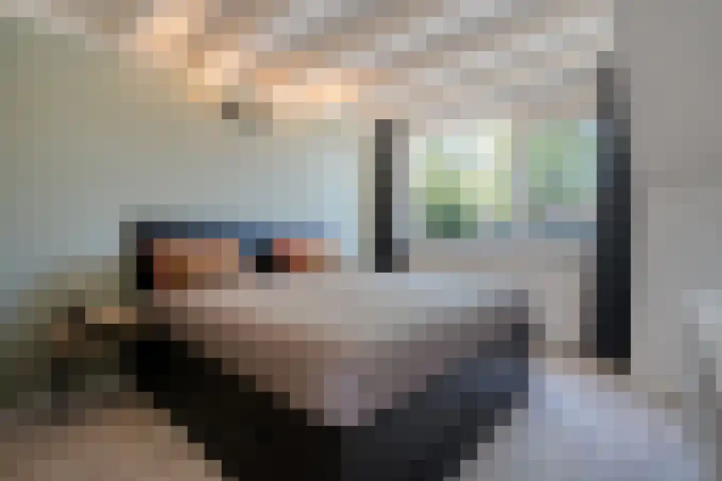 Rijnlaan 216 Zwolle thumbnail 18