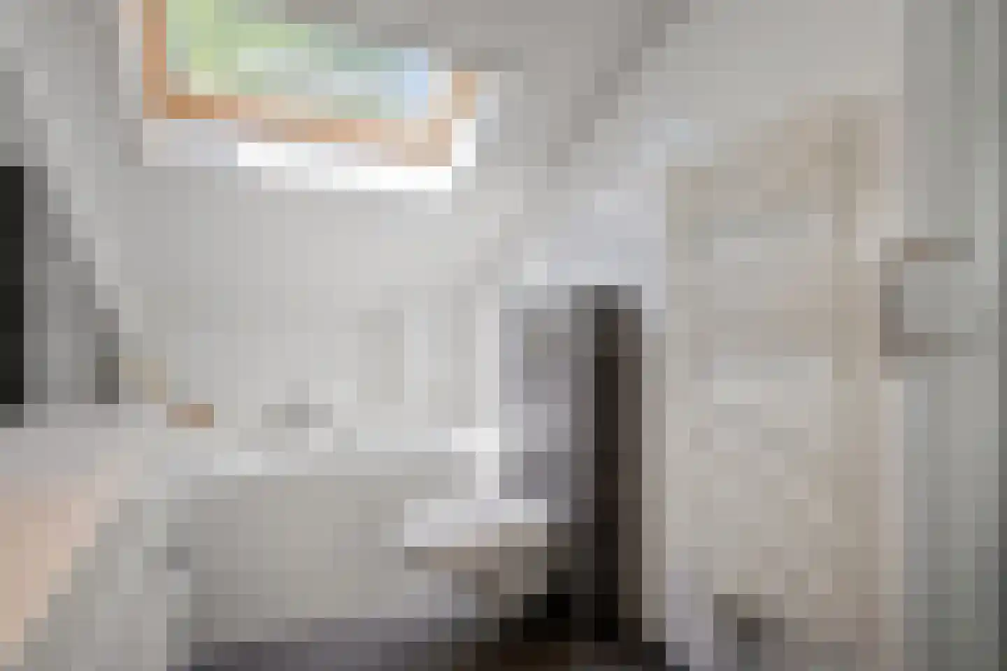 Rijnlaan 216 Zwolle thumbnail 24