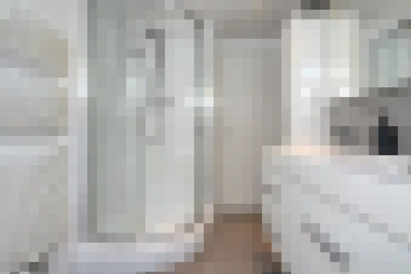Rijnlaan 216 Zwolle thumbnail 25