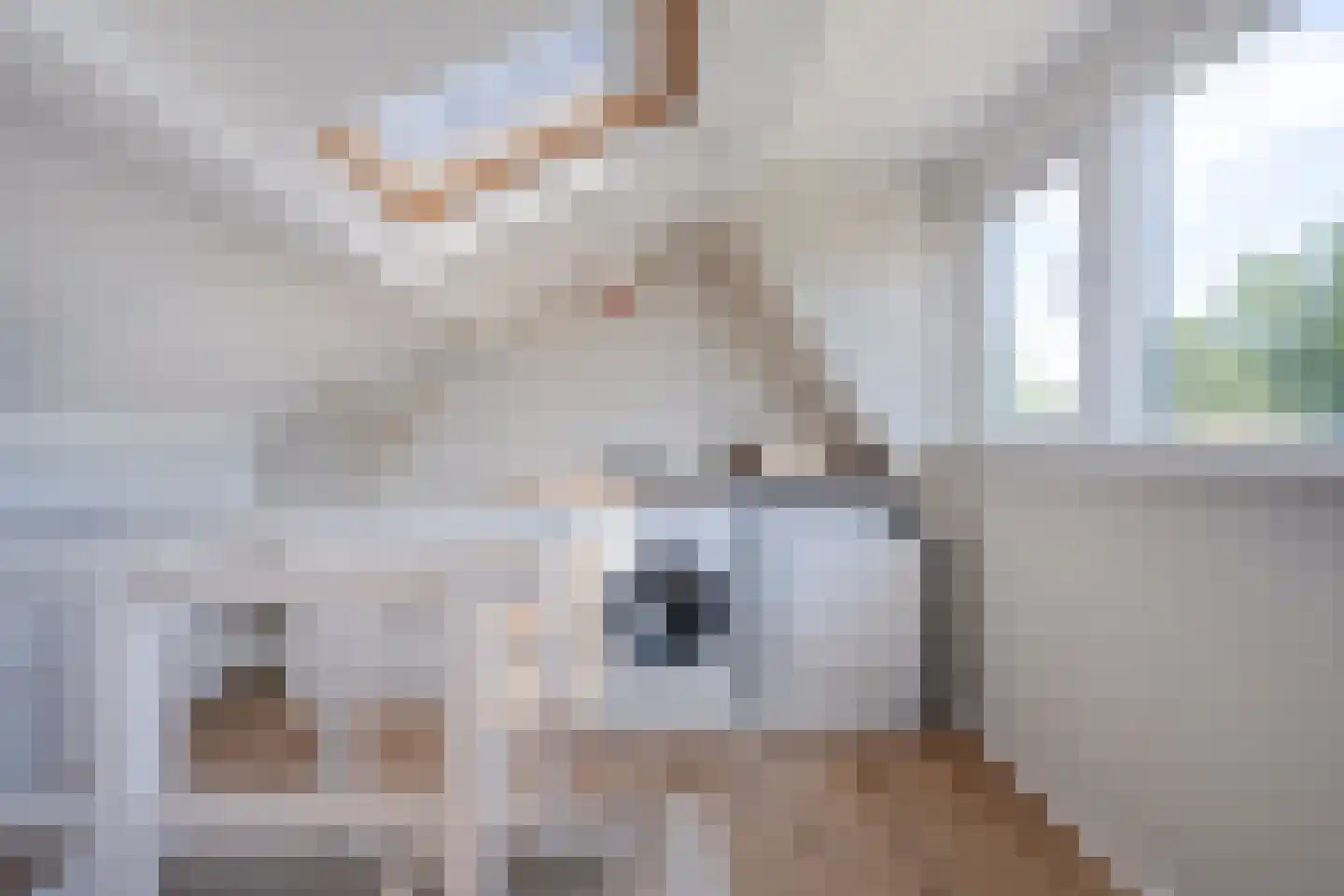 Rijnlaan 216 Zwolle thumbnail 30