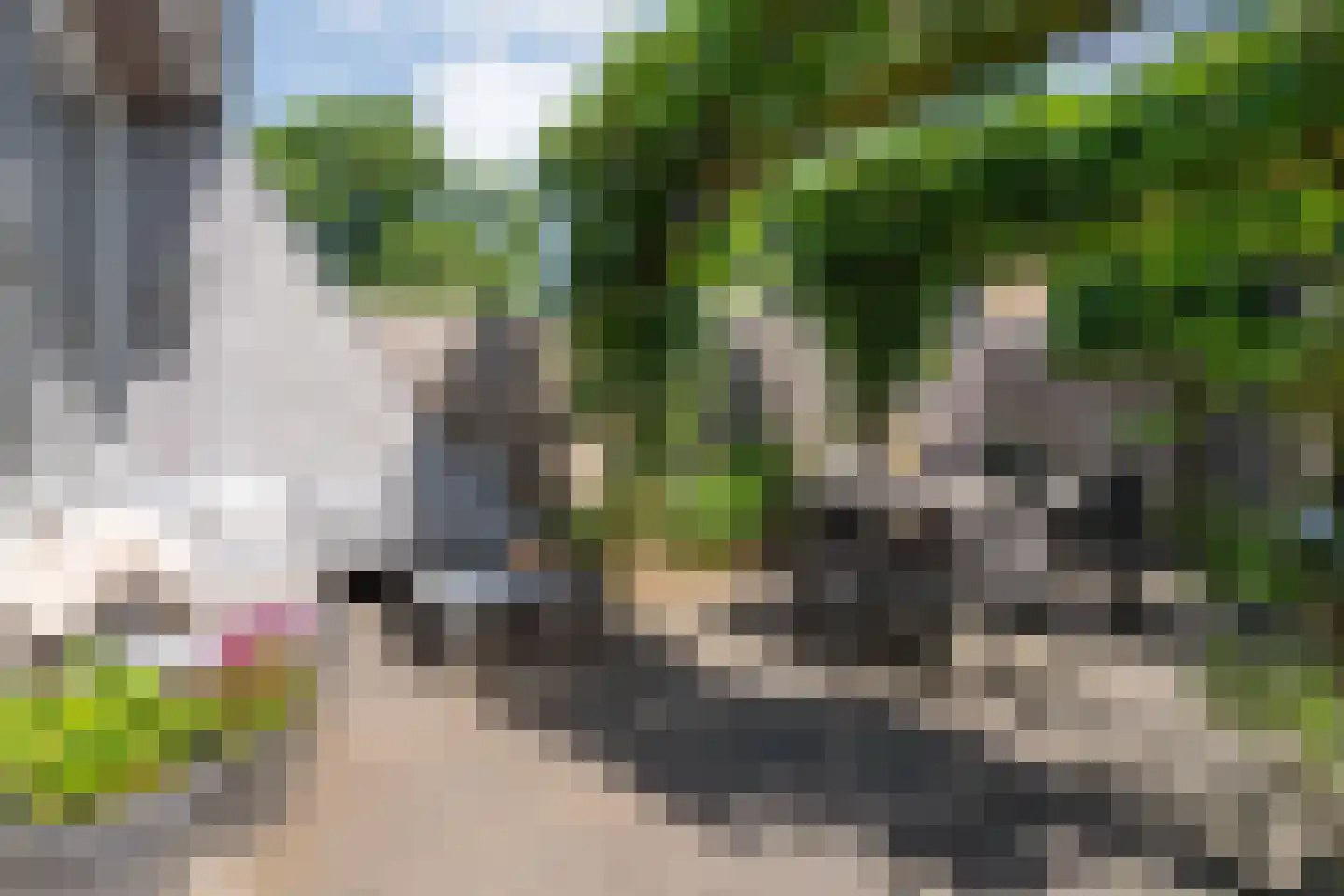 Rijnlaan 216 Zwolle thumbnail 34
