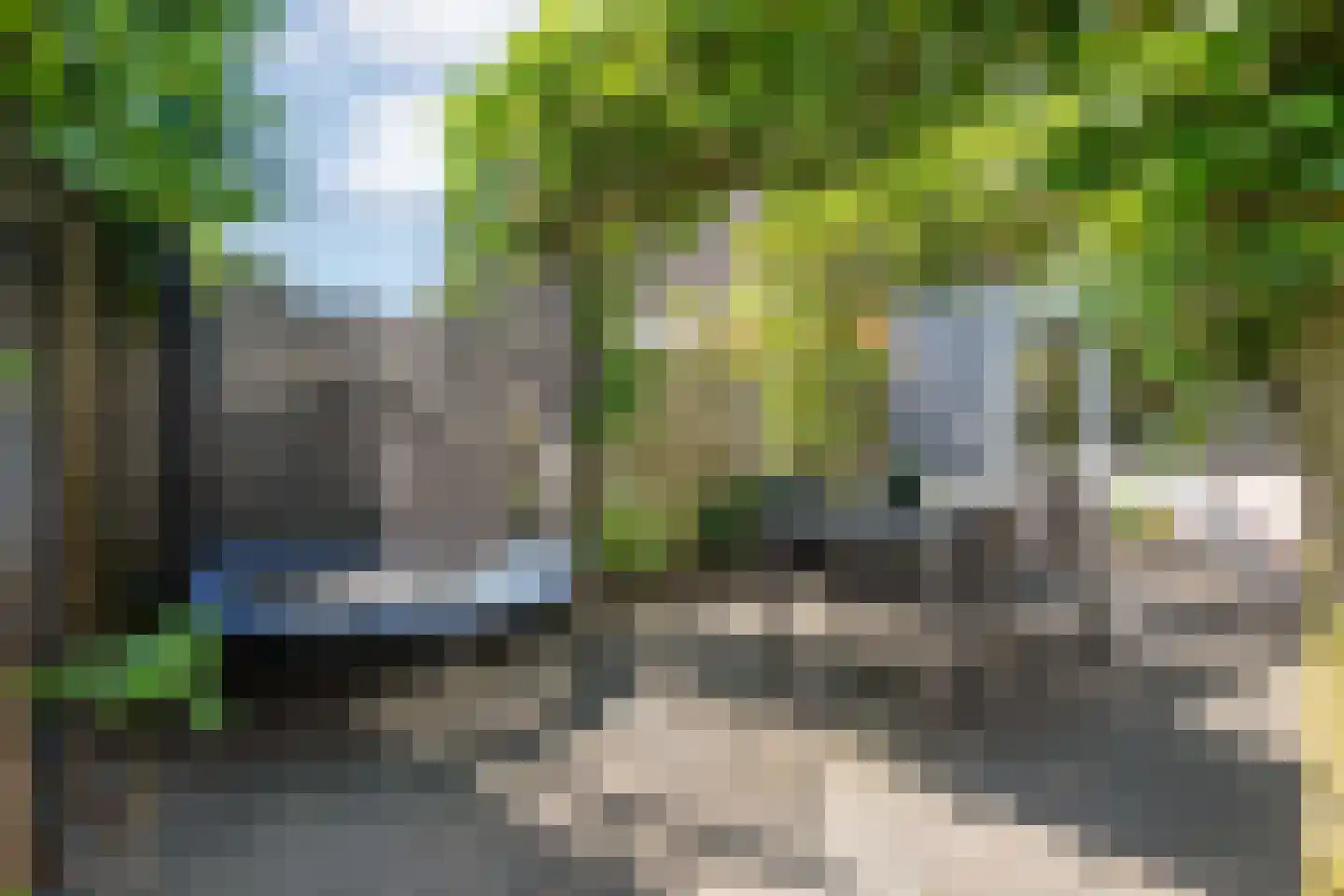 Rijnlaan 216 Zwolle thumbnail 35