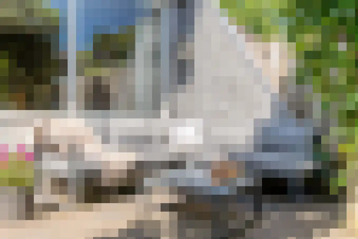 Rijnlaan 216 Zwolle thumbnail 36