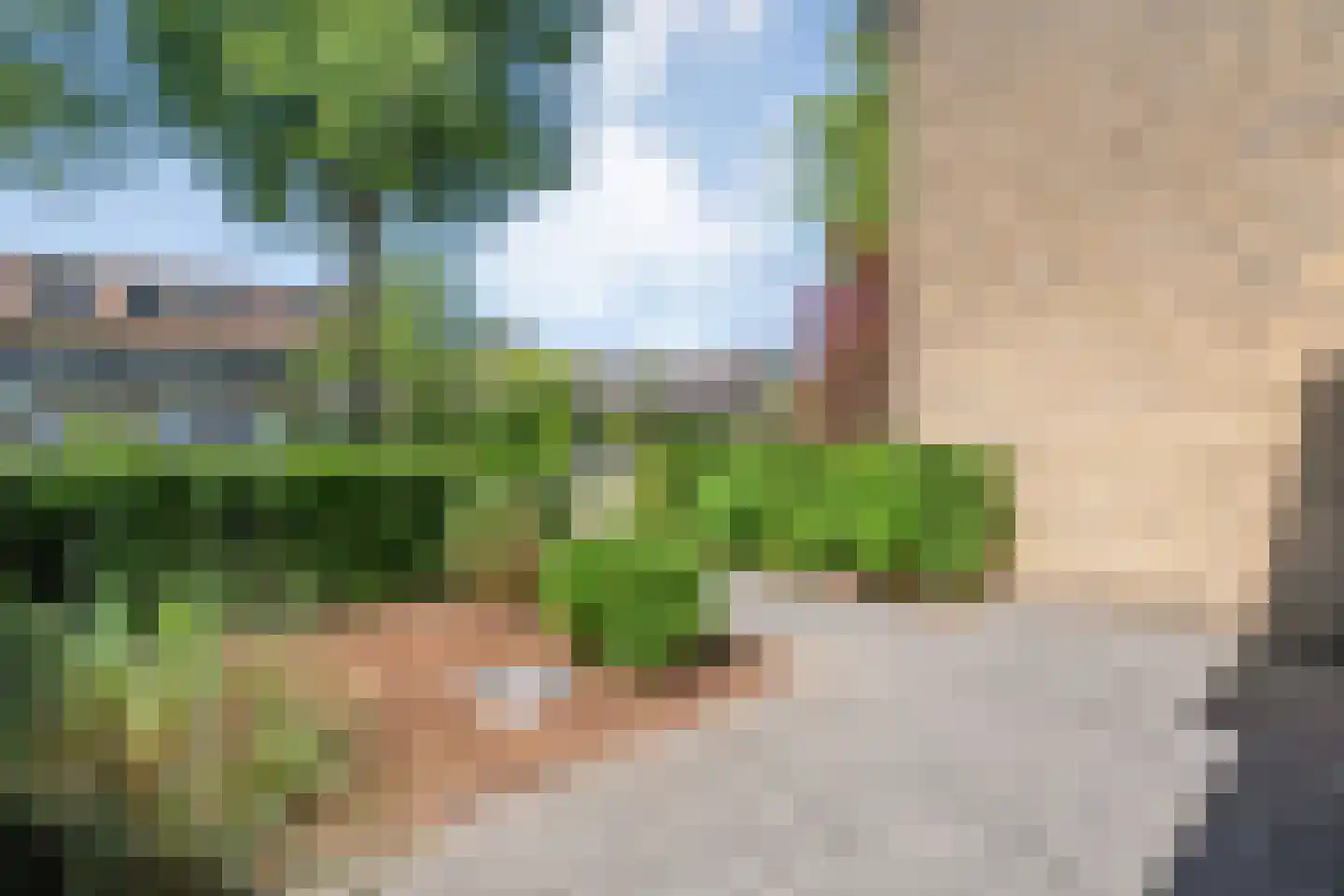 Rijnlaan 216 Zwolle thumbnail 40