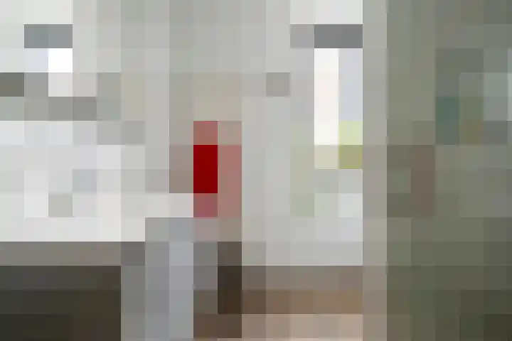 Rijnlaan 225 Helmond thumbnail 24
