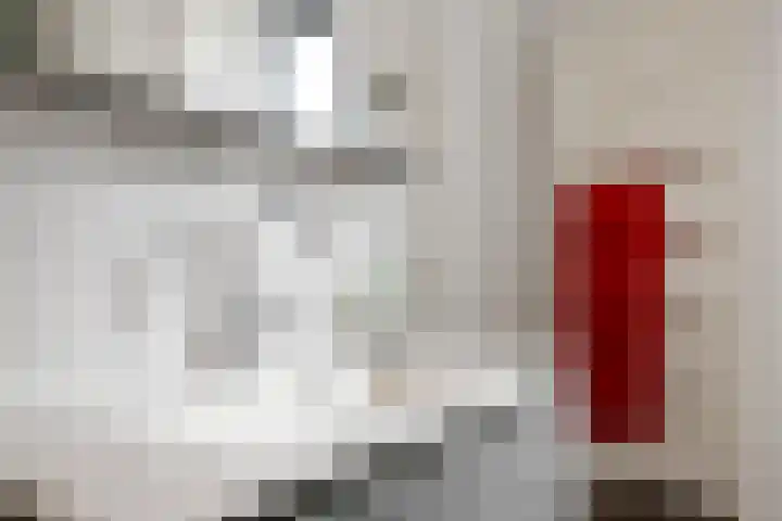 Rijnlaan 225 Helmond thumbnail 25